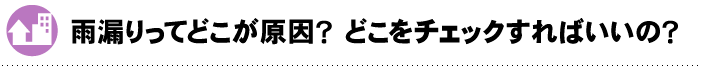 雨漏りってどこが原因？どこをチェックすればいいの？