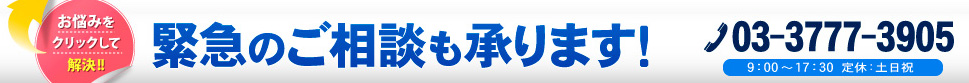 緊急のご相談も承ります！